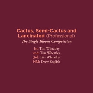 Cactus Semi Cactus and Lancinated Professional